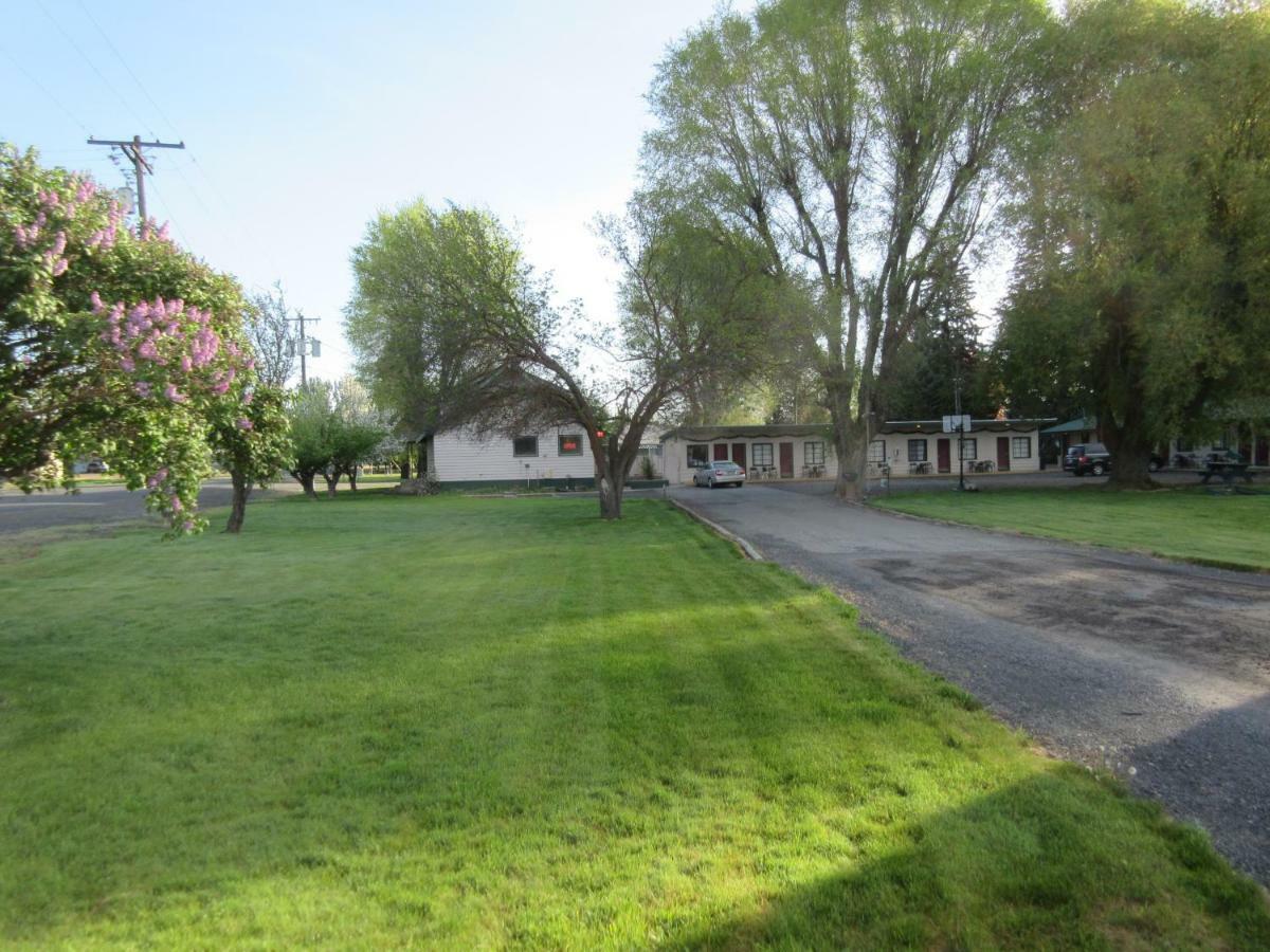 The Willows Motel Wilbur Exterior foto