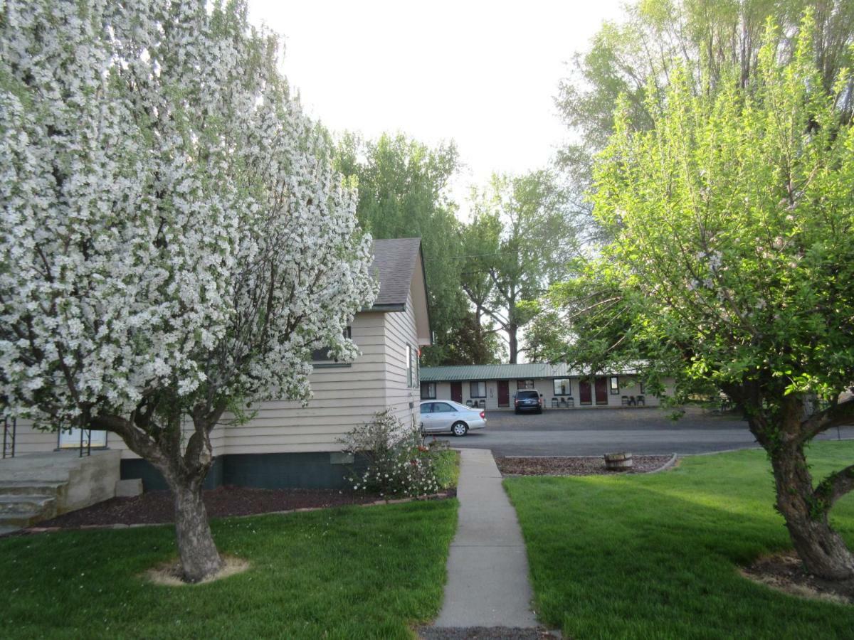 The Willows Motel Wilbur Exterior foto