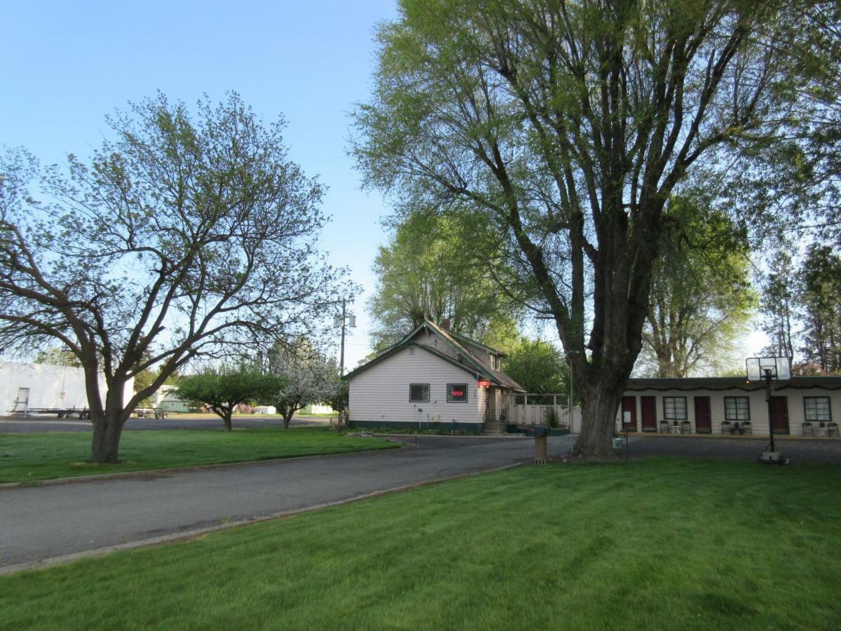 The Willows Motel Wilbur Exterior foto