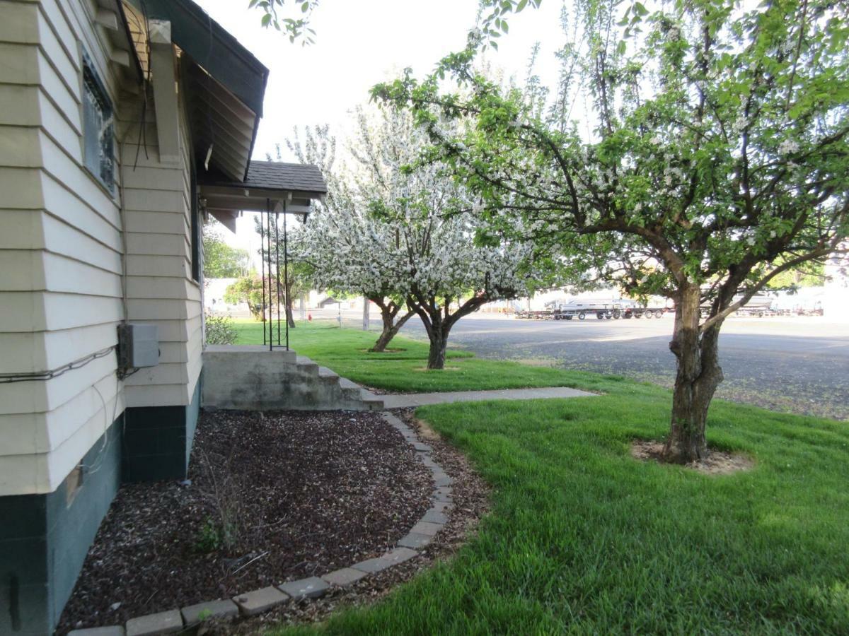 The Willows Motel Wilbur Exterior foto